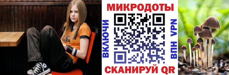 Галлюциногенные грибы MAGIC MUSHROOMS где можно купить наркотик Сальск